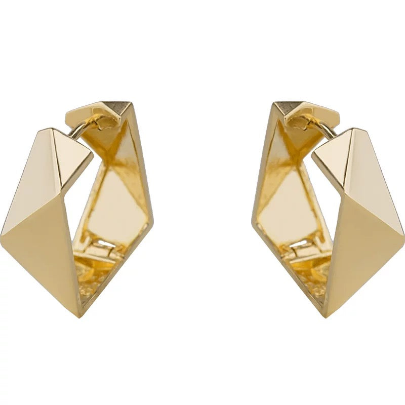 Irregular Turtoise Shell Frame Hoop Earrings