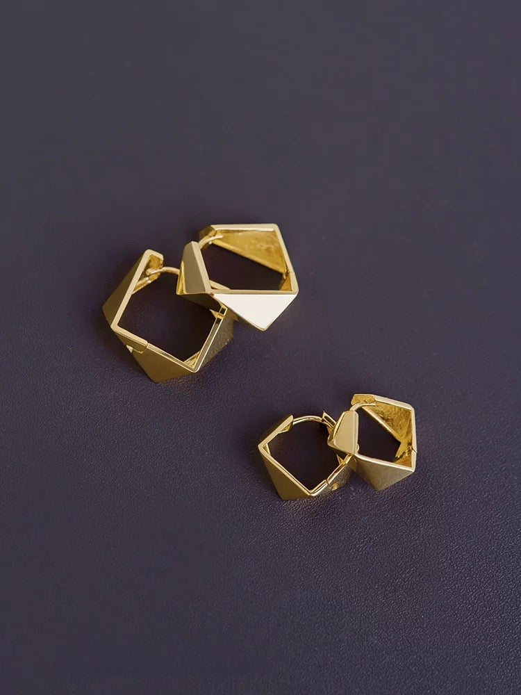 Irregular Turtoise Shell Frame Hoop Earrings