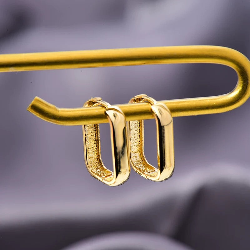 Bold Oblong Hoop Earrings