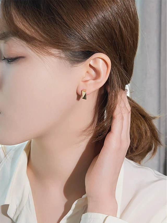 Irregular Turtoise Shell Frame Hoop Earrings