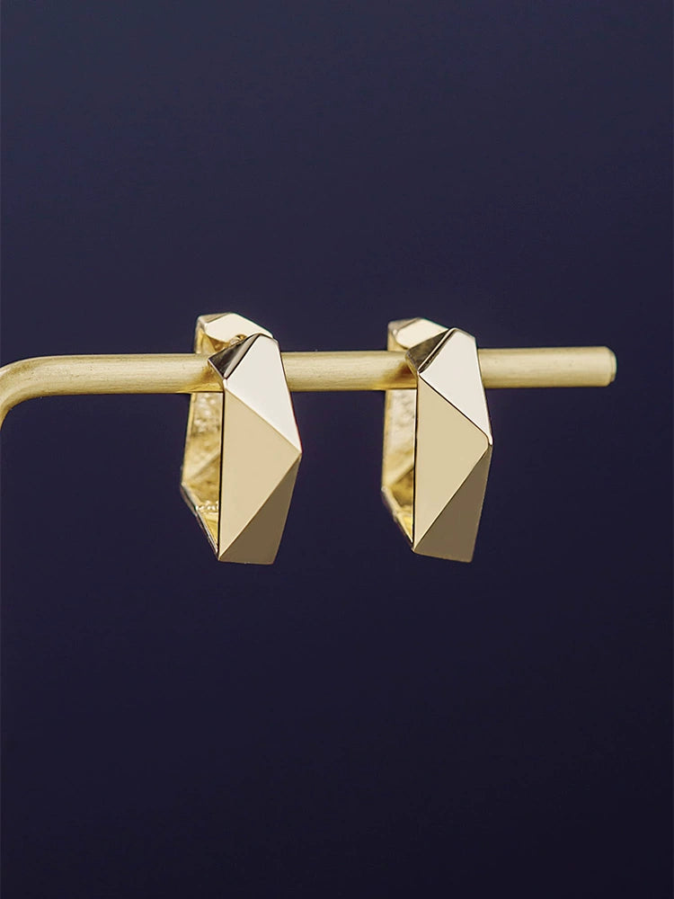 Irregular Turtoise Shell Frame Hoop Earrings
