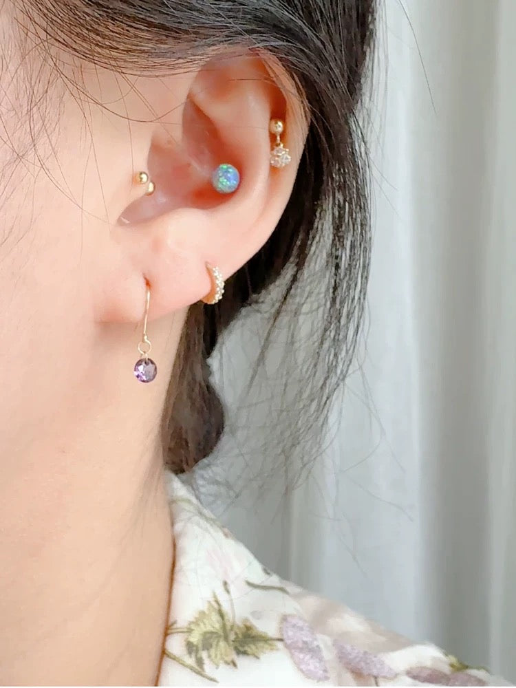 Round Gem Ear Hook Earrings