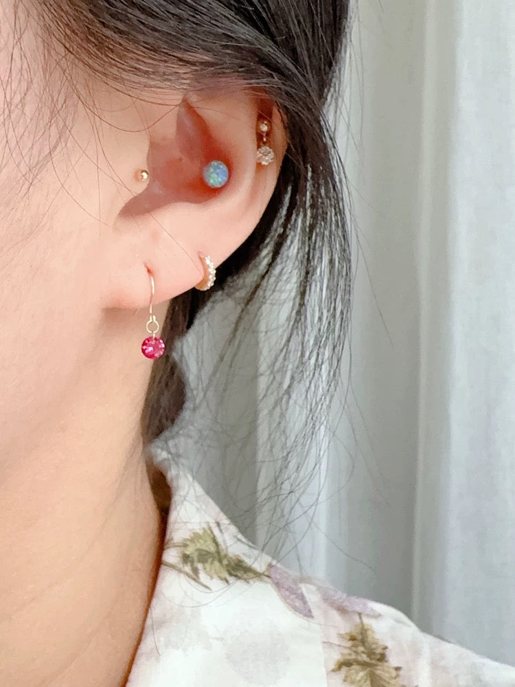 Round Gem Ear Hook Earrings