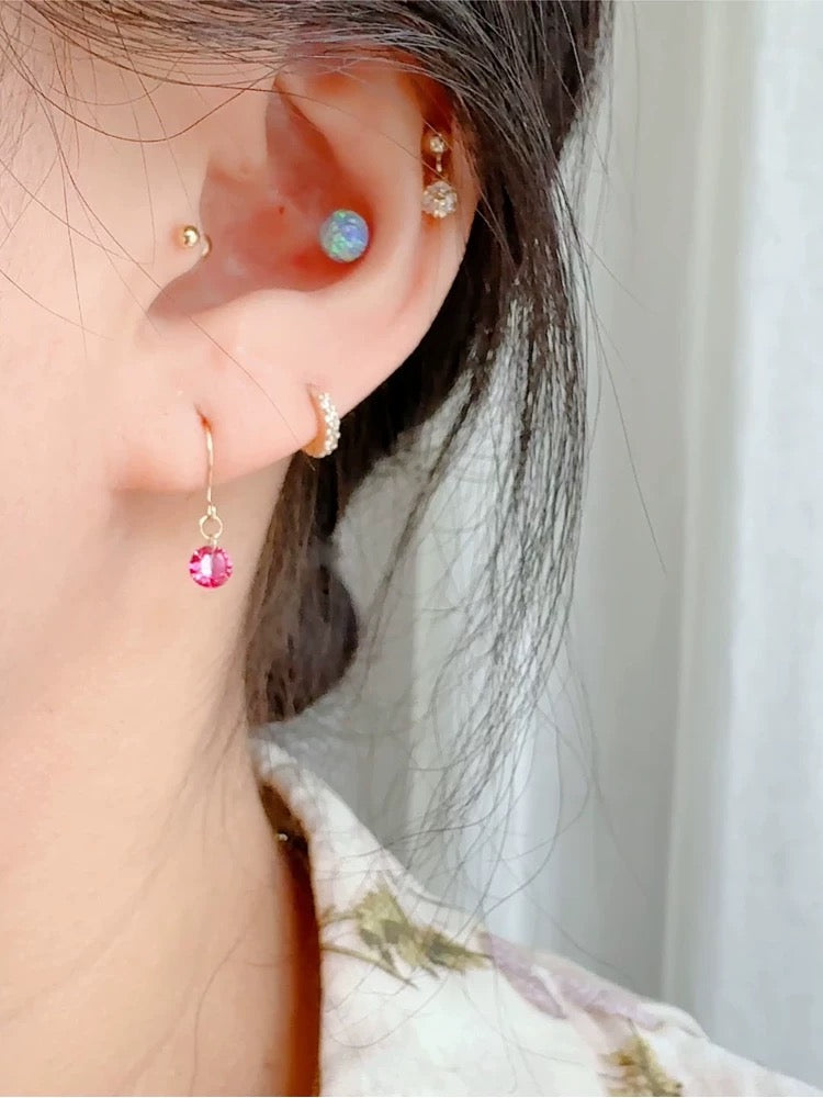 Round Gem Ear Hook Earrings