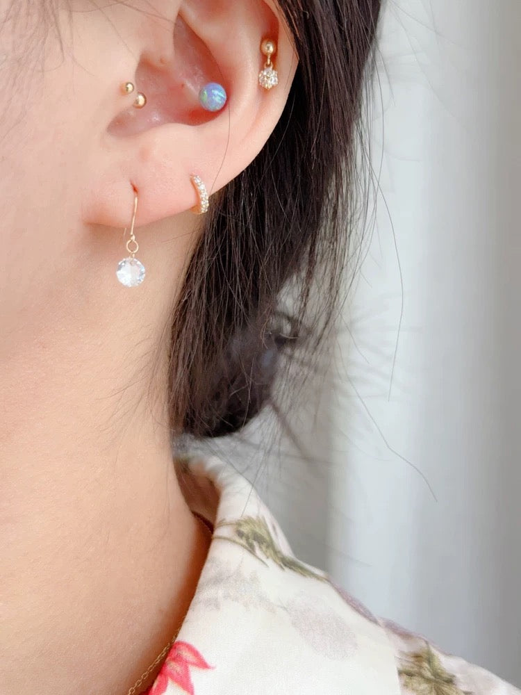 Round Gem Ear Hook Earrings