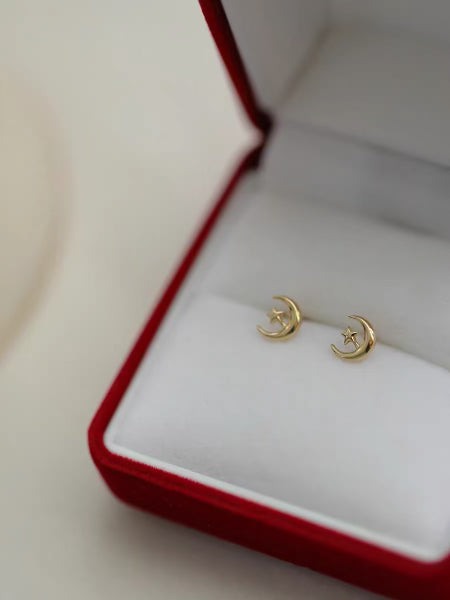 Crescent Star Stud Earrings