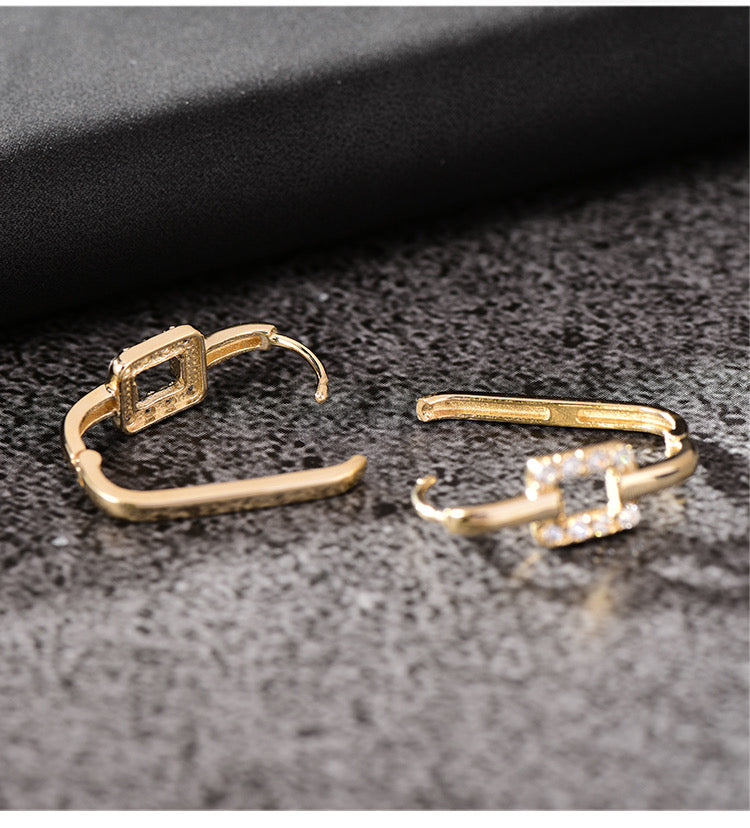 Adraina Link Oblong Hoop Earrings