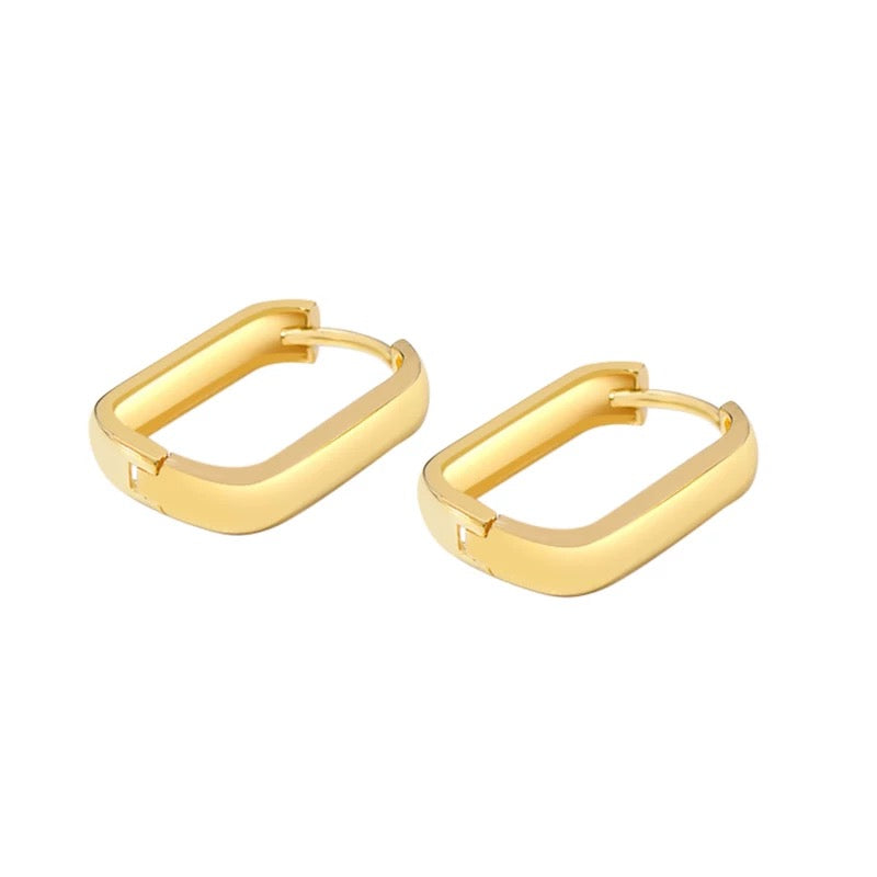 Bold Oblong Hoop Earrings