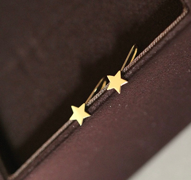 Star Drop Hook Earrings