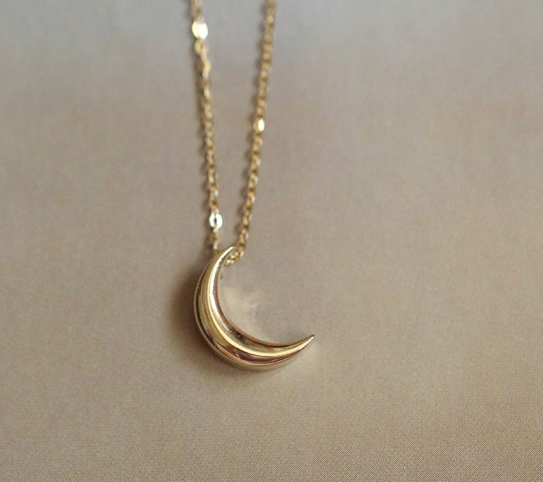 Hanging Crescent Charm Necklace