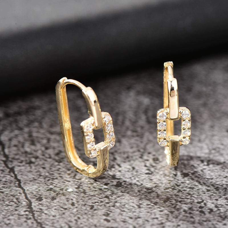 Adraina Link Oblong Hoop Earrings