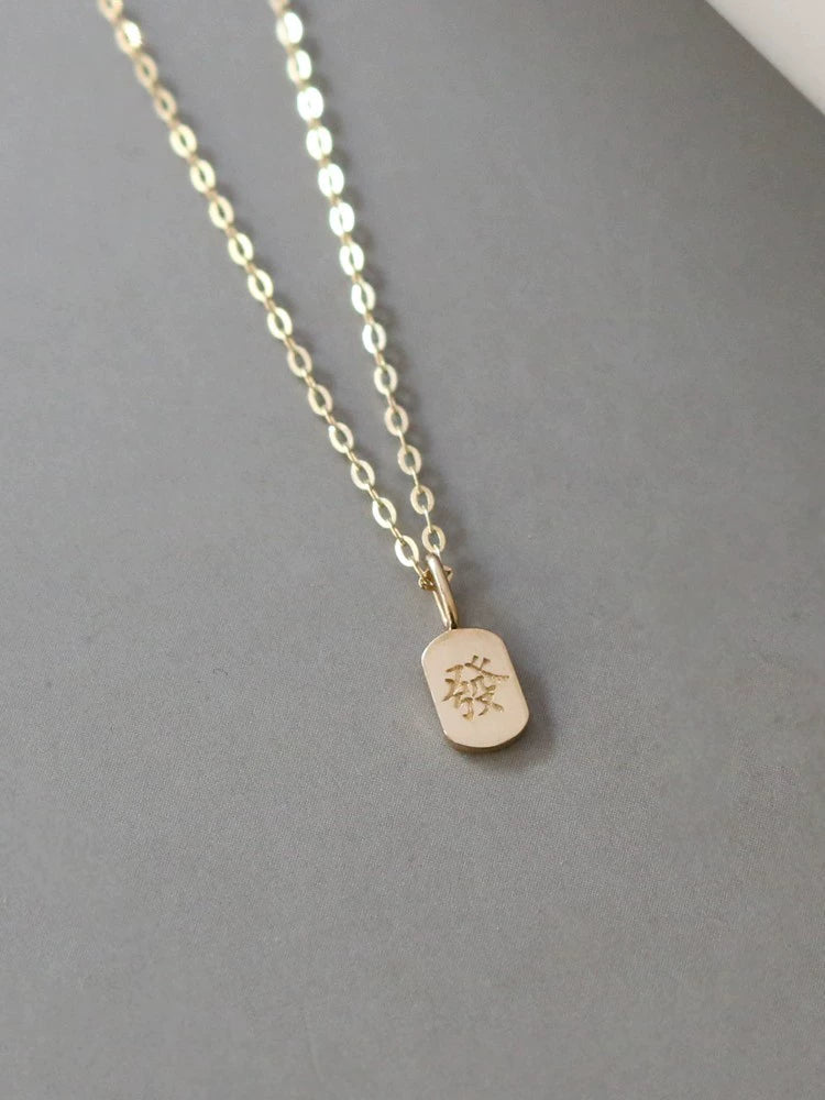 Feng Shui Engraved Charm Necklace