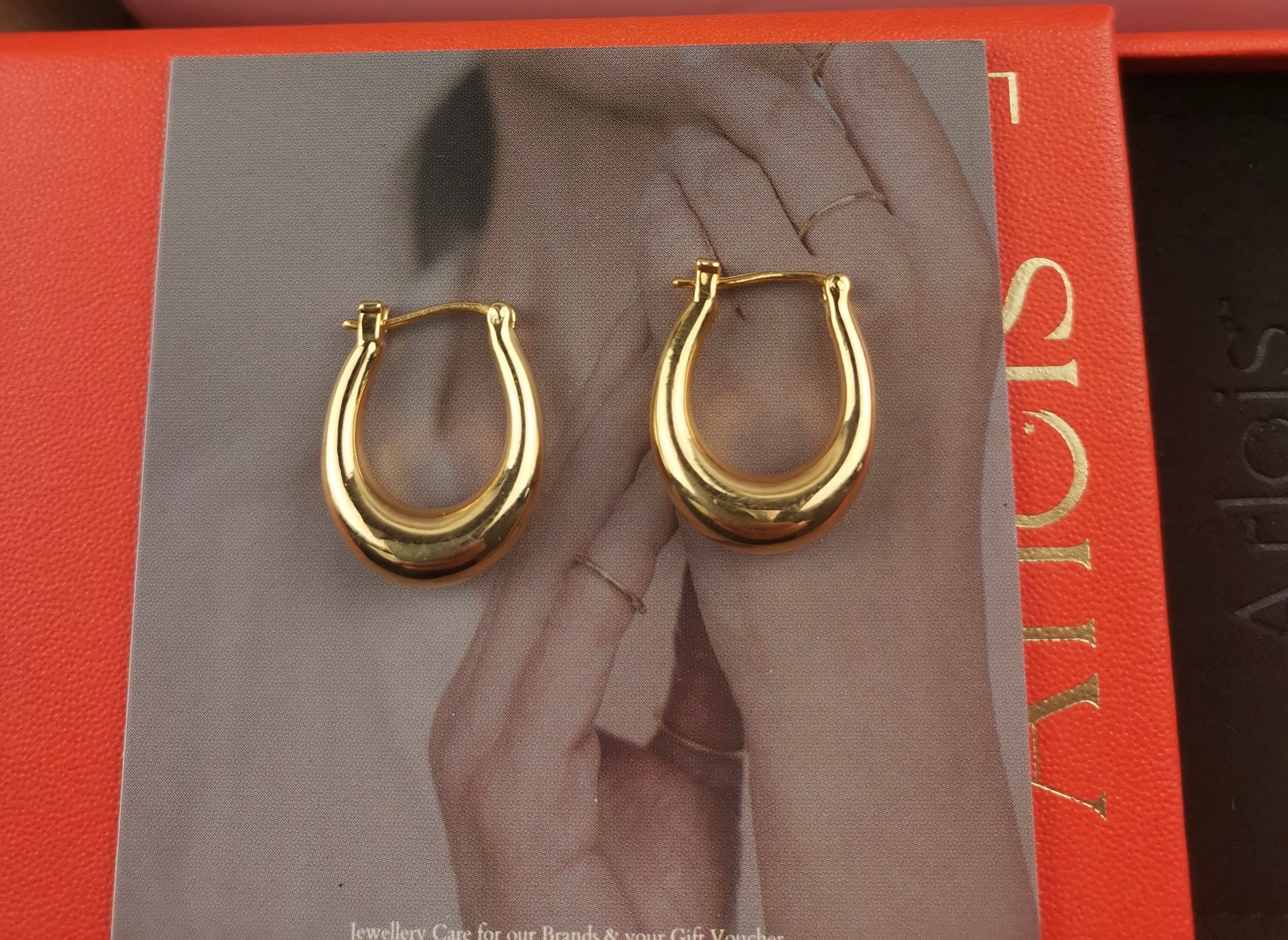 Alta Handbag Hoops Earrings